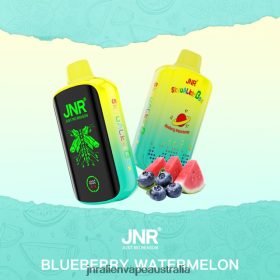 JNR SKYWALKER BOX Blueberry Watermelon RX2VL2405 - JNR Vape Australia